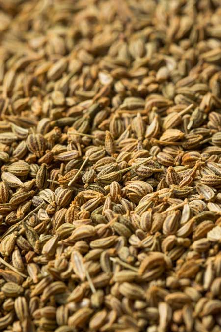 Ajwain Seeds Exporter