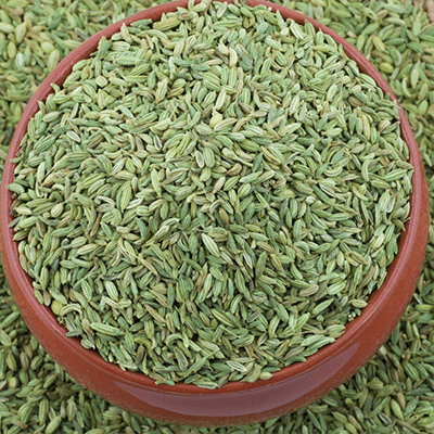 Fennel Seeds Manufacturer