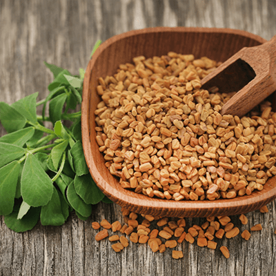 Fenugreek Seeds Manufacturer