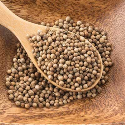 Coriander Seeds Manufacturer