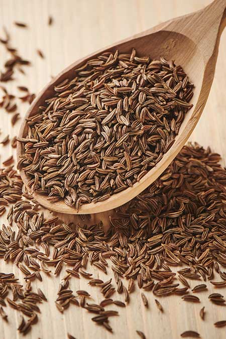 Cumin Seeds Exporter