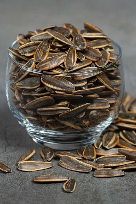 Dill Seeds Exporter