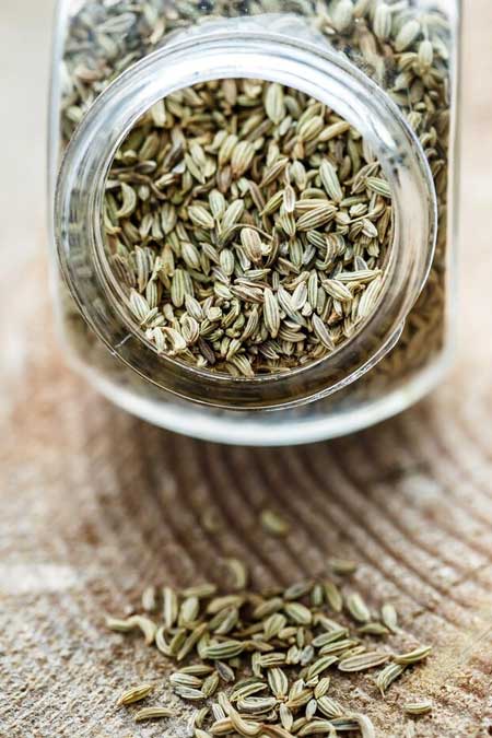 Fennel Seeds Exporter