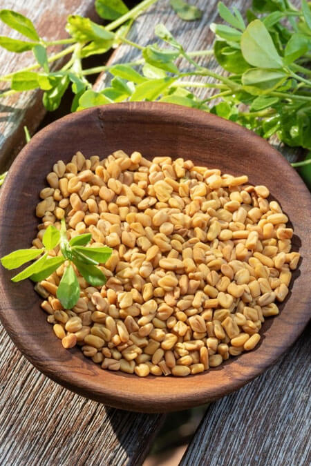 Fenugreek Seeds Exporter