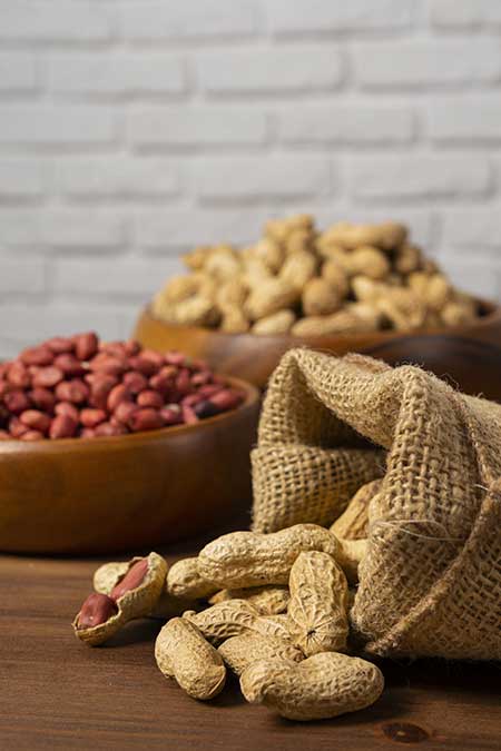 Ground Nuts Exporter