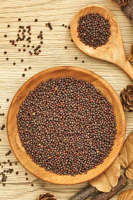 Mustard Seeds Exporter