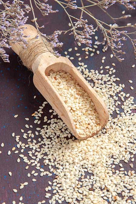 Sesame Seeds Exporter